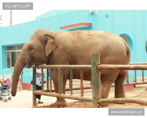 登贝莱又换豪车了？车库里的“动物园”都快坐不下了吧！